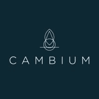 Cambium